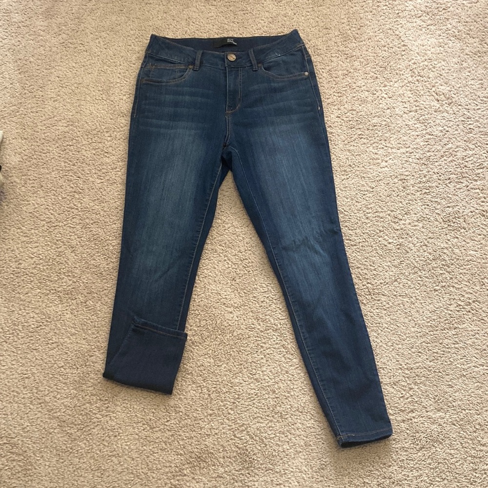 1822 Denim Skinny Jeans